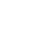 Audi Icon