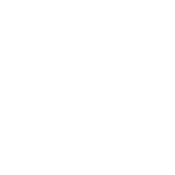 Bmw Xxl